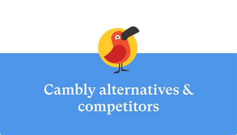   camily|Cambly for Organizations